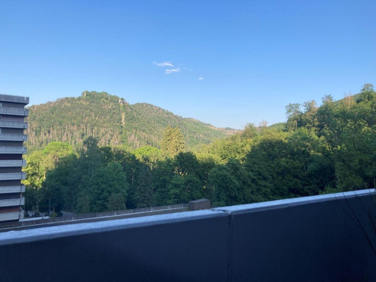 Apartamento Das Kauzennest Bad Harzburg Exterior foto